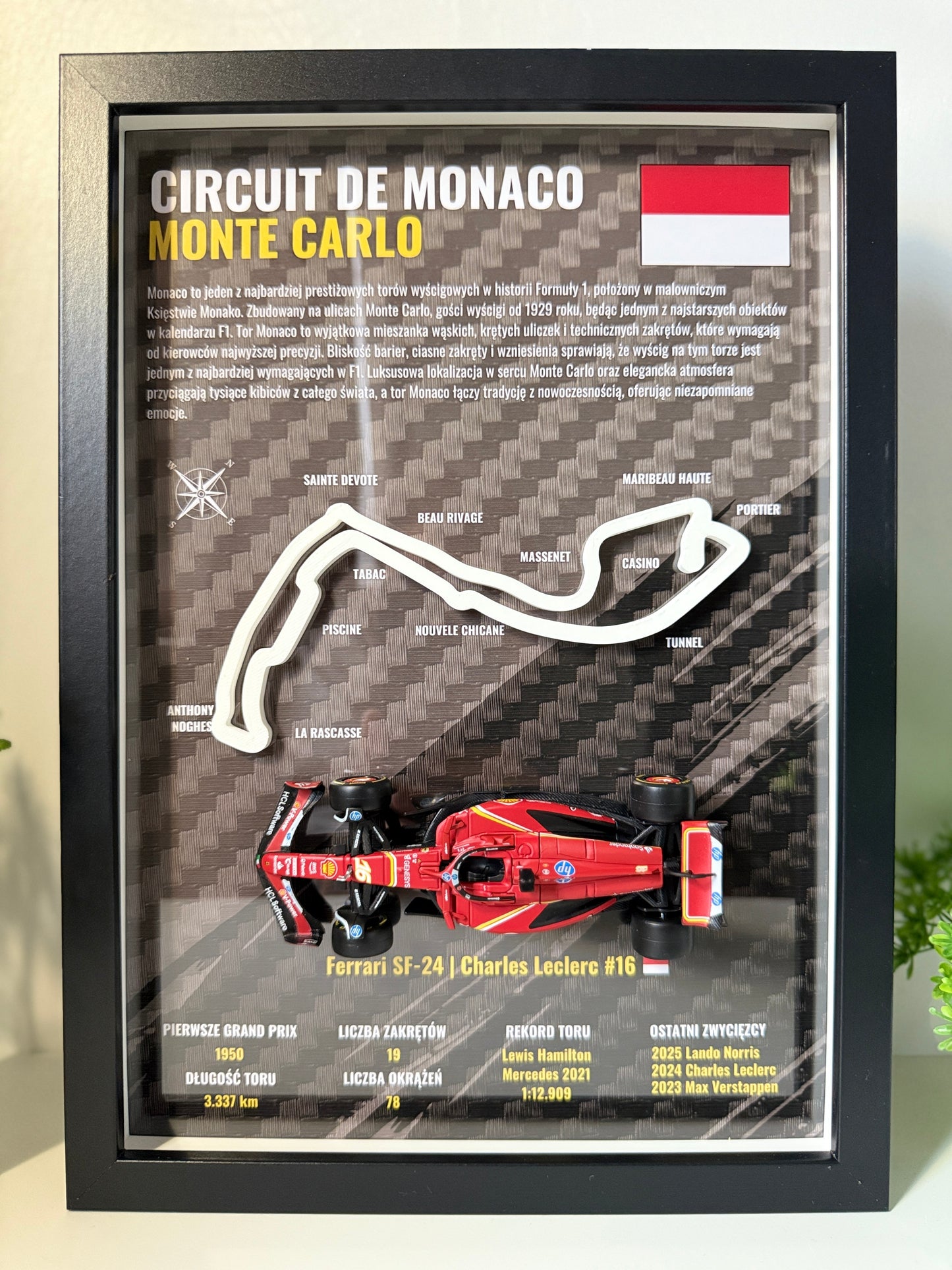 F1 Home Race | Monaco 3D